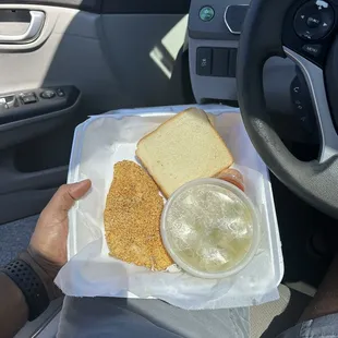 Catfish fillet