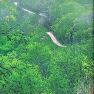 One of the trails, maybe Ridge Trail