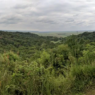 View from the top of the hiking trail overlooking trees and farmland below