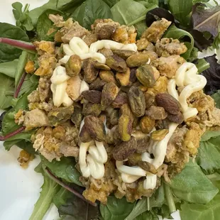 Pistachio chicken salad