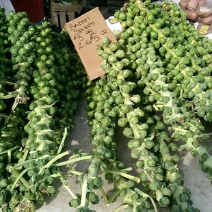 I never new where that they look like this.