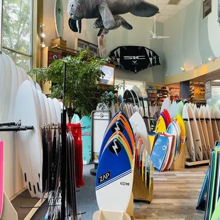 Boards