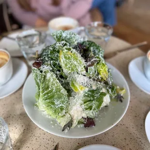 Caesar salad. Amazing croutons are hidden in the middle