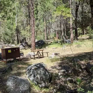 Loop B site 41