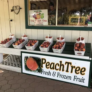 peach tree fresh and frozen fruit