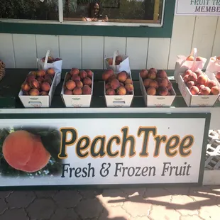 Crimson Lady Peaches. Harvested Today