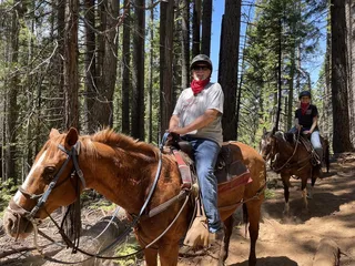 Yosemite Trails Horseback Adventures