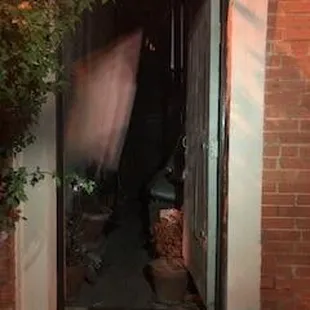 Light in back hallway