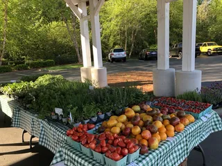 Farmers Market At the Village At Robinson Farm