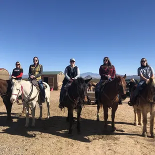 Our rag tag team of horses