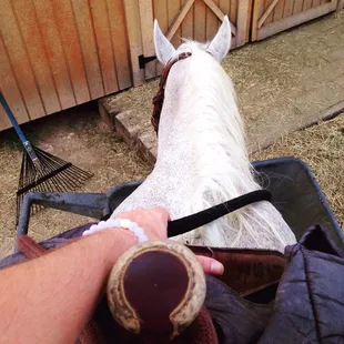Miss Piggy getting a snack before the ride.