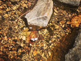 Marshall Gulch Trail