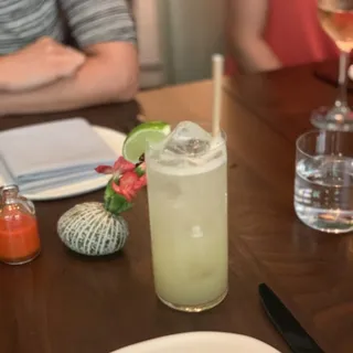 Turmeric Tonic
