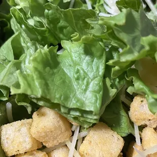 Weed looking romaine lettuce