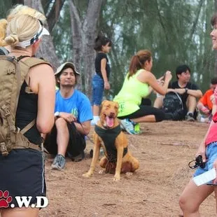 Great people, great dogs, great conversation, great Hike with the Oahu SPCA "Hikes for Homes" &amp; "Hiking Oahu With Dogs"
