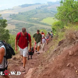 Beautiful Views on Kealia Trail