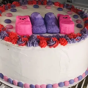 Ice cream cake - large - serves 10-12.