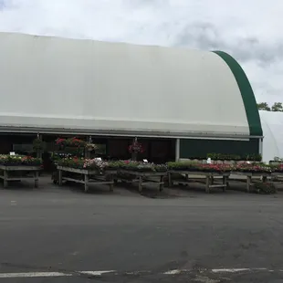 Waynes Country Market