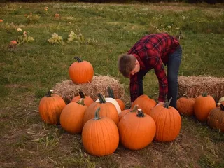 Buffalo Bill's Christmas Trees