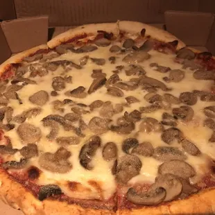 Mushroom pizza