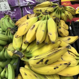 All sorts of bananas.