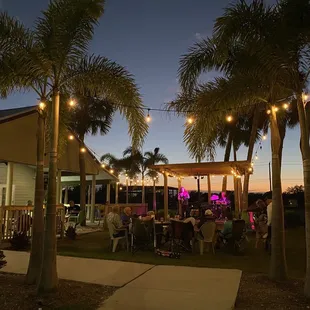 palm trees and patio