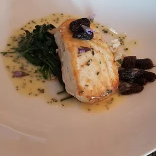 Halibut