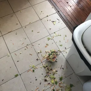 The salad they threw at me that ended up on the floor