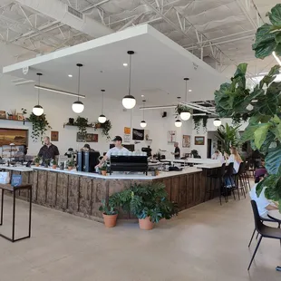 people sitting at the counter