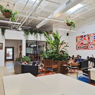 a coffeehouse with plants in the middle of the room