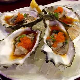 Oyster half shell