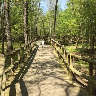 Awesome boardwalk