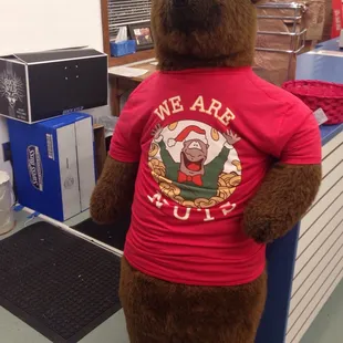 Gophers like nuts too