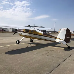 As close as I'll ever get to flying