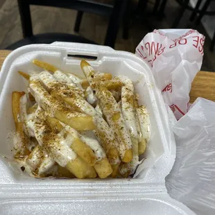 french fries in a styrofoam container