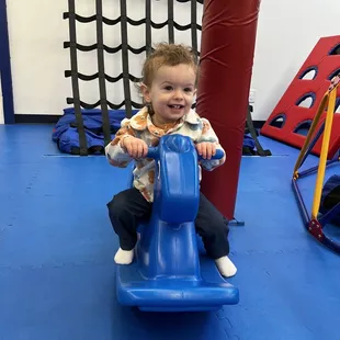 Rocking horse and swings for littles!