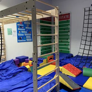 Monkey bars and climb wall