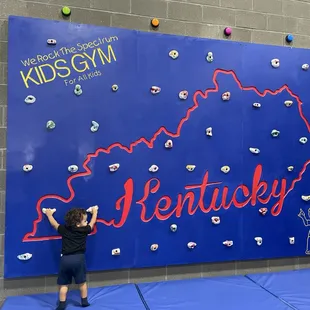 Rock Climbing Wall