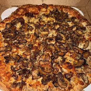 16&quot; Forest Shroomin Pizza