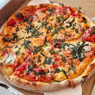 Margherita Burrata pie