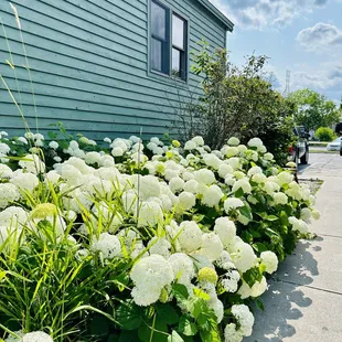 Walkway to the entry &amp; outdoor seating area