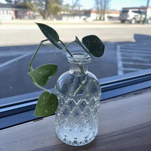 The little touches make it extra special