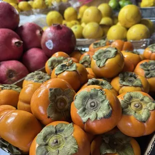 Fruit