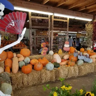 Pumpkins and Fall fun galore!