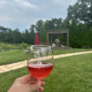 a hand holding a glass of wine