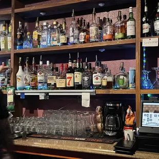 Web House Cafe & Bar