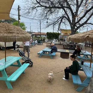 picnic tables and umbrellas