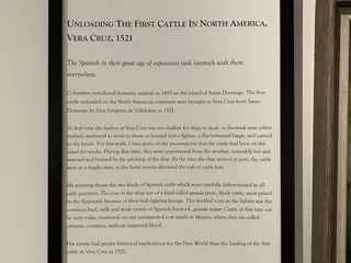 Museum of the Big Bend