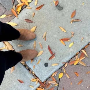 Fall leaves at my feet at Weber point.
