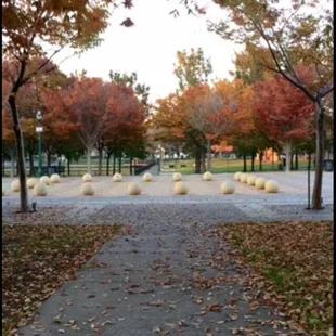 The trees at Weber point make the most beautiful fall foliage during fall time.